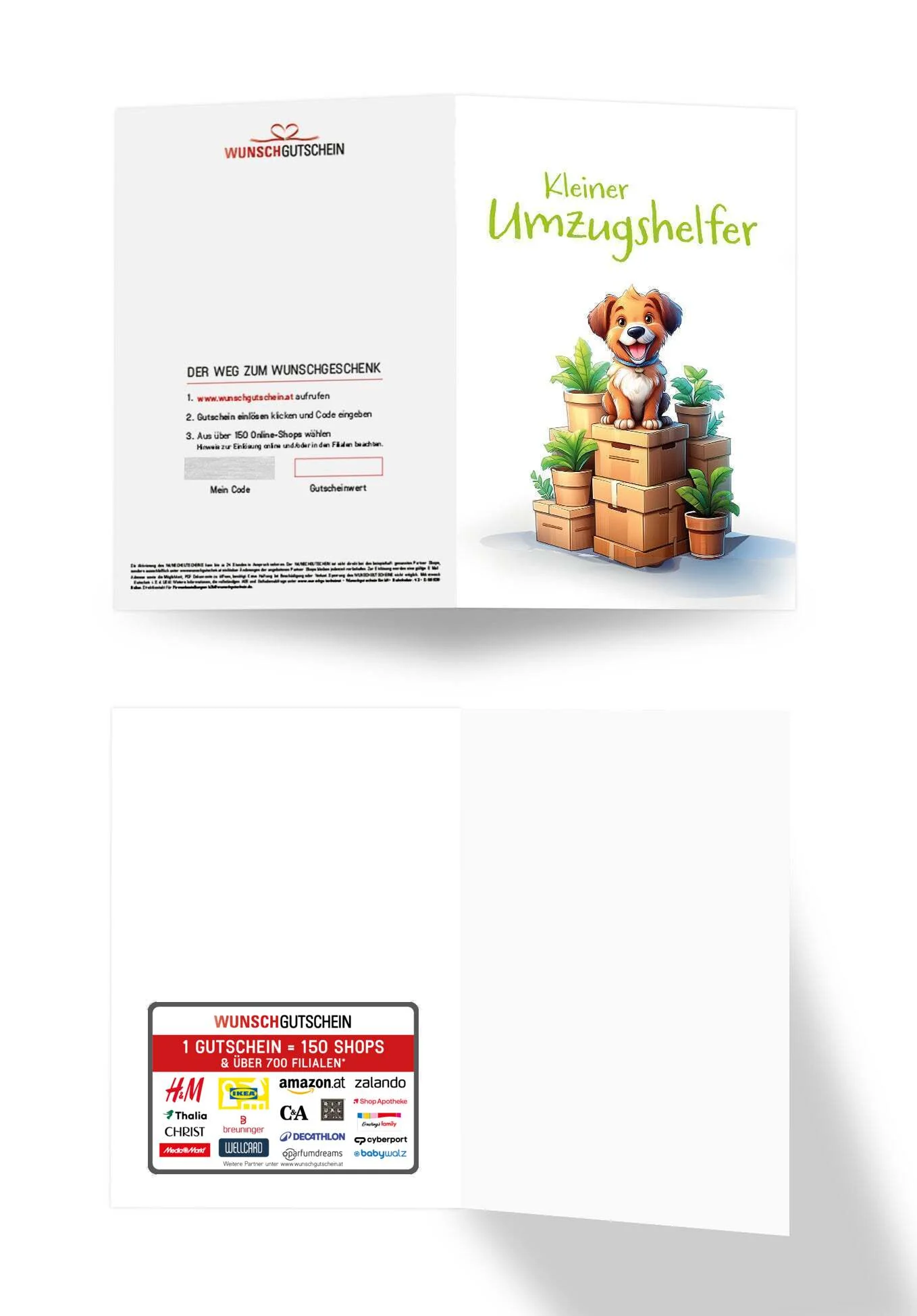 Vorschaubild 3